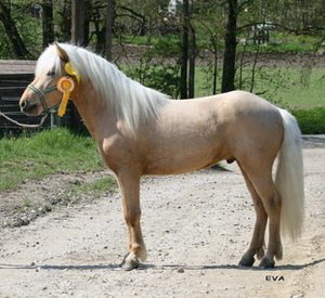 Dimmalimm von Hammersdorf