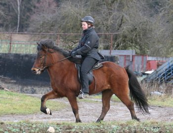 Dimmalimm von Hammersdorf