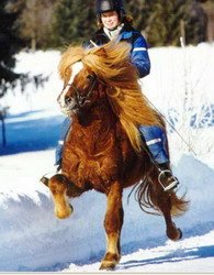 Dimmalimm von Hammersdorf