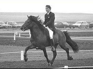 Dimmalimm von Hammersdorf