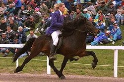 Fjalli von Hammersdorf