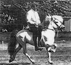 Fjalli von Hammersdorf