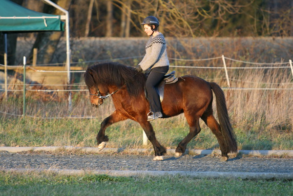 Bikar von Hammersdorf