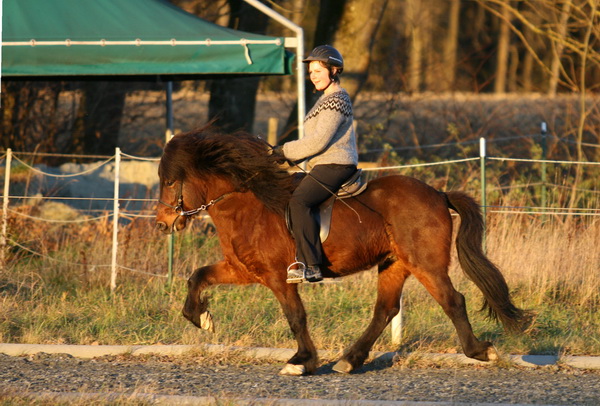 Bikar von Hammersdorf