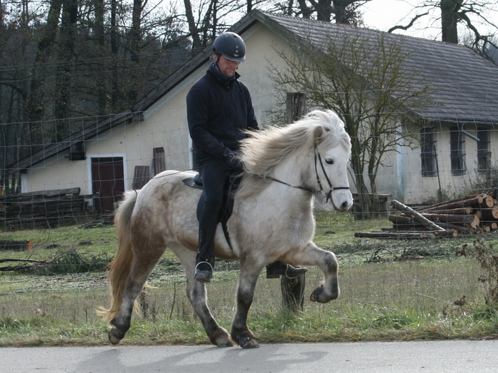 Flugsvinn von Hammersdorf