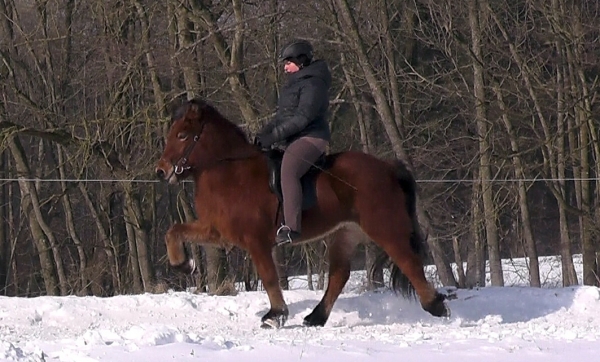 Orða von der Elschenau