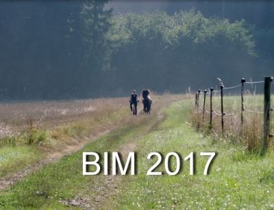 Video von BIM 2017