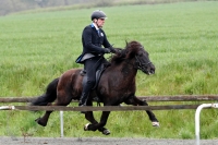 Reitkurs / Termine 2025 Wochenendkurs/Reiten/München