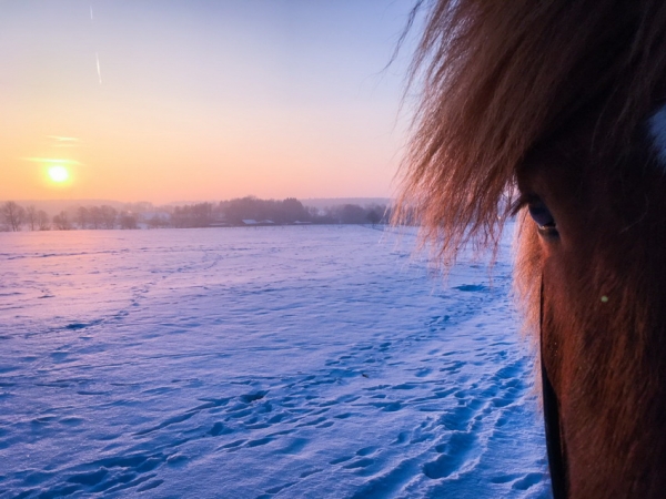 Winterimpressionen von Yasmin